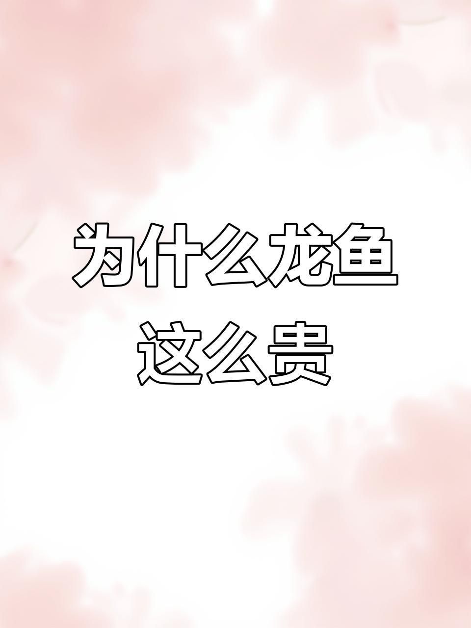 龍魚為什么那么貴