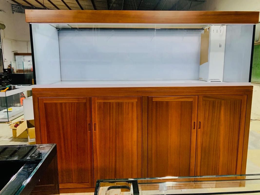 能否推薦幾款適合養(yǎng)紅龍魚的魚缸？