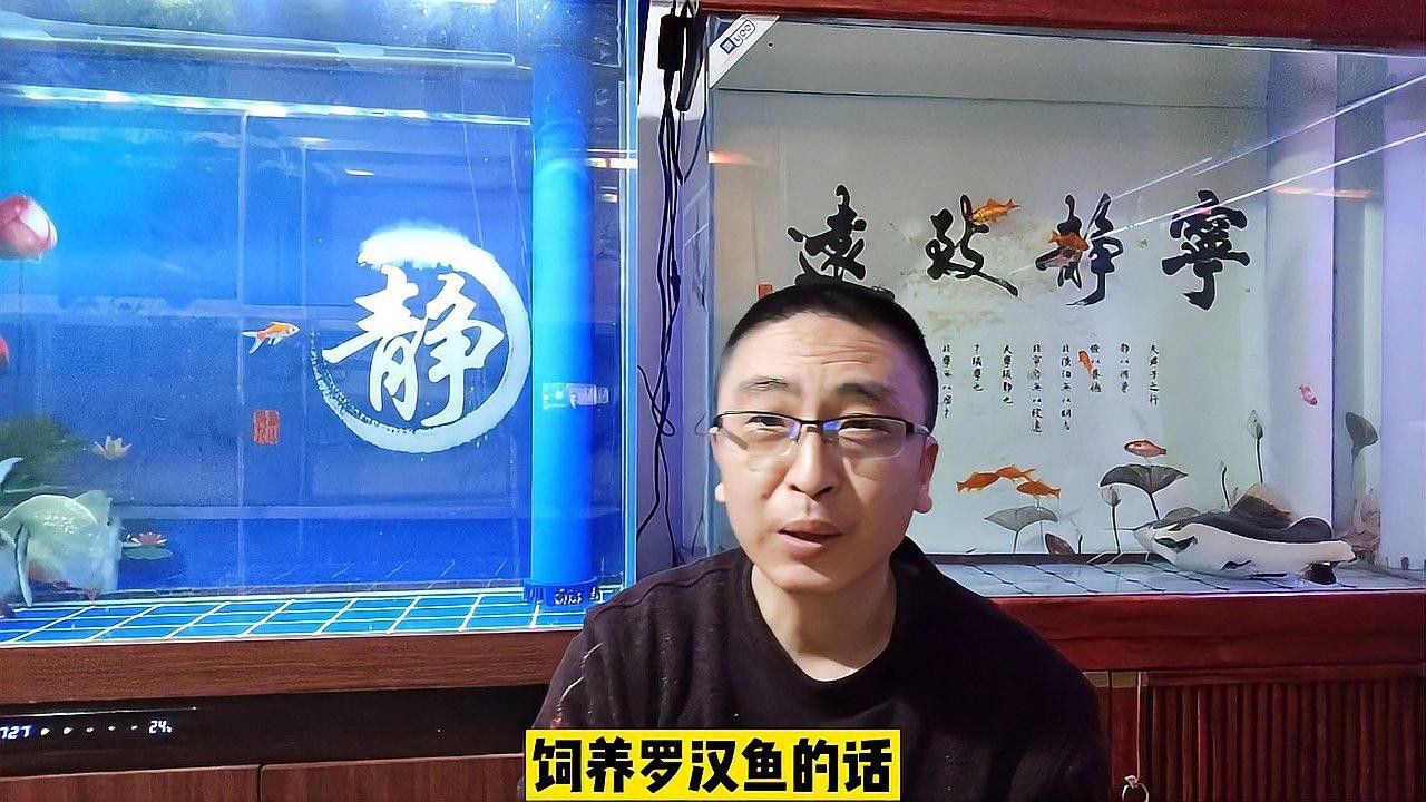 紅龍魚飼料羅漢魚能吃嗎有毒嗎