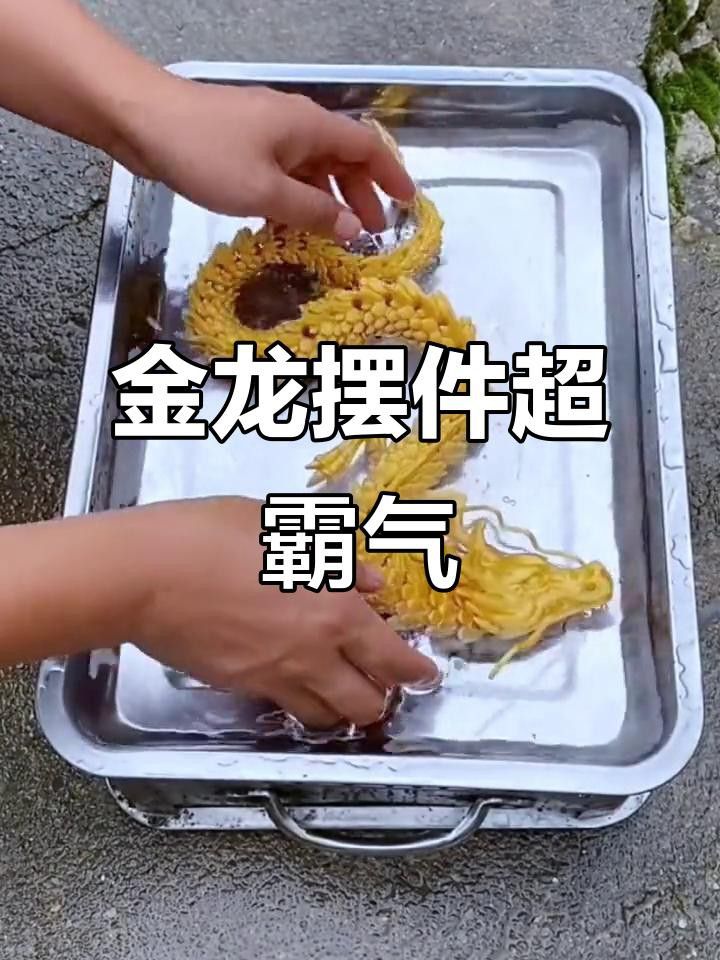金龍魚擺件有哪些材質選擇