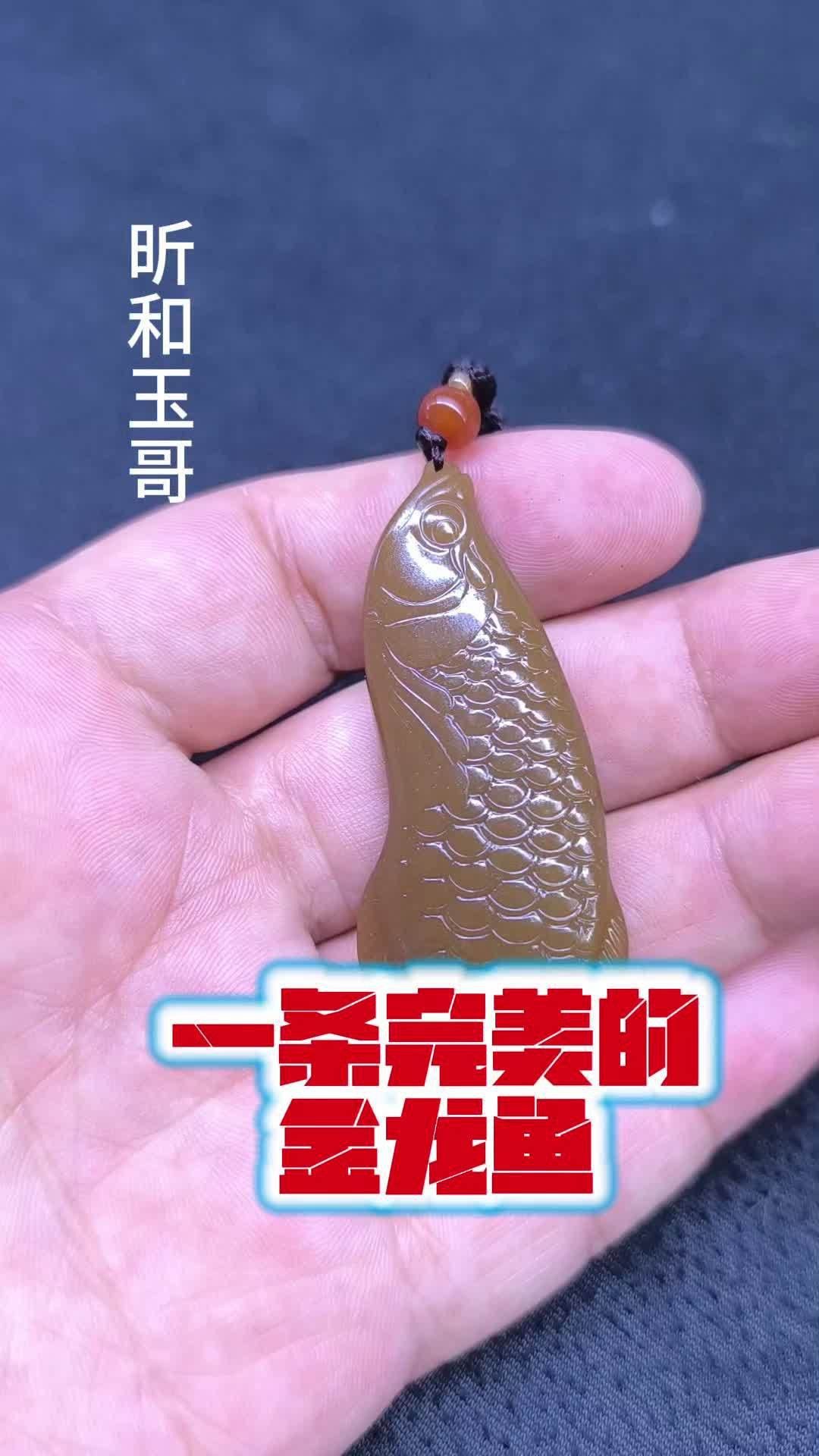 金龍魚擺件有哪些材質選擇