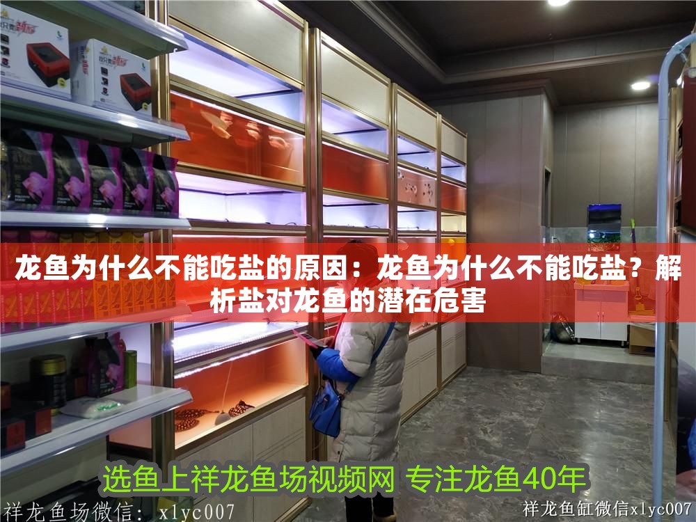龍魚為什么不能吃鹽的原因：龍魚為什么不能吃鹽？解析鹽對(duì)龍魚的潛在危害