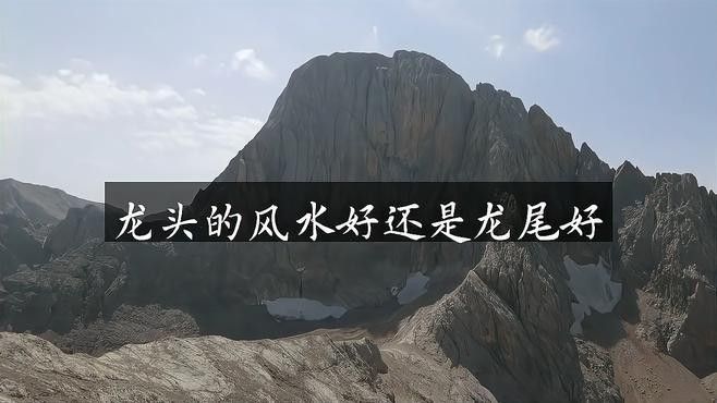 龍頭和龍尾哪個更適合創業？