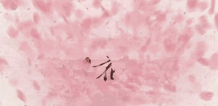 金龍魚 背景音樂：金龍魚廣告廣告背景音樂