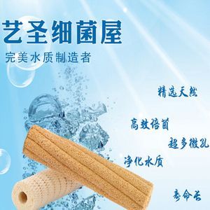 龍魚底濾用什么濾材（養龍魚時底濾是一個很好的選擇）
