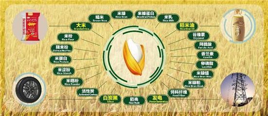 金龍魚經(jīng)營模式（金龍魚的經(jīng)營模式）