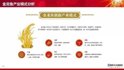 金龍魚經(jīng)營模式（金龍魚的經(jīng)營模式）