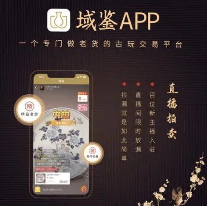 古董拍賣平臺有哪些 古董拍賣平臺有哪些 龍魚百科 第4張
