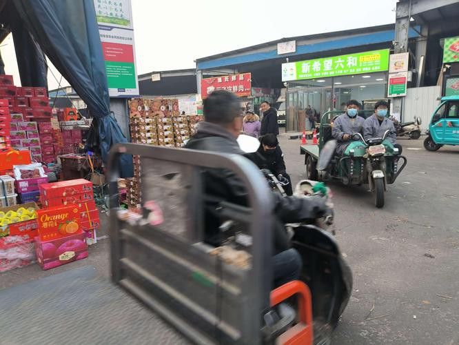 平涼龍魚專賣店