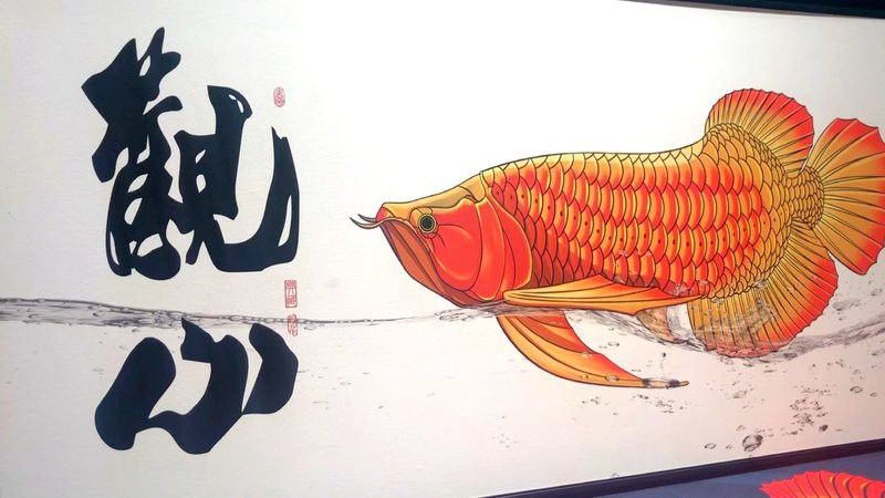 紅龍魚壁紙適合哪些裝修風(fēng)格？