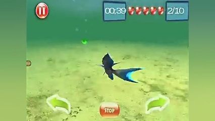 龍魚搖頭擺動怎么回事（龍魚搖頭擺動可能由多種原因引起，）
