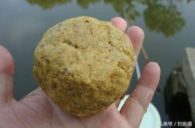 紅魔王銀版魚專用飼料品牌：揭秘紅魔王銀版魚專用飼料的奧秘
