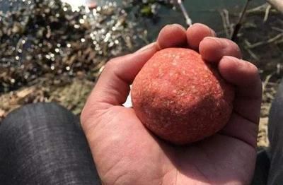 紅魔王銀版魚專用飼料品牌：揭秘紅魔王銀版魚專用飼料的奧秘