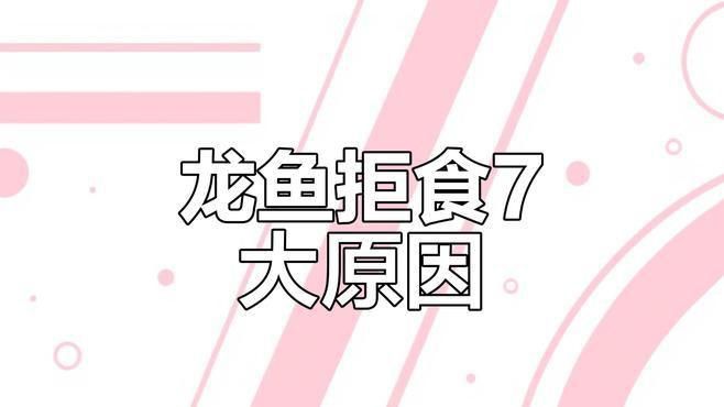 金龍魚長時間不吃食的原因