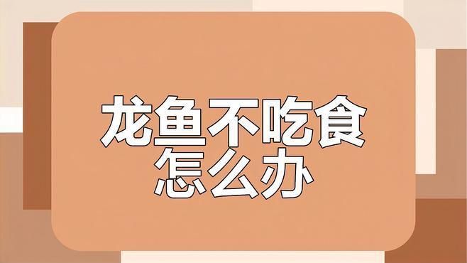 金龍魚長時間不吃食的原因
