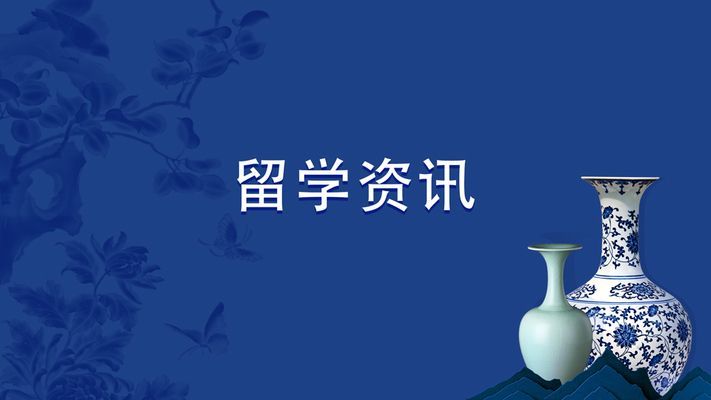 魚缸里的魚心情語錄怎么寫，魚缸環境布置的心理學原理