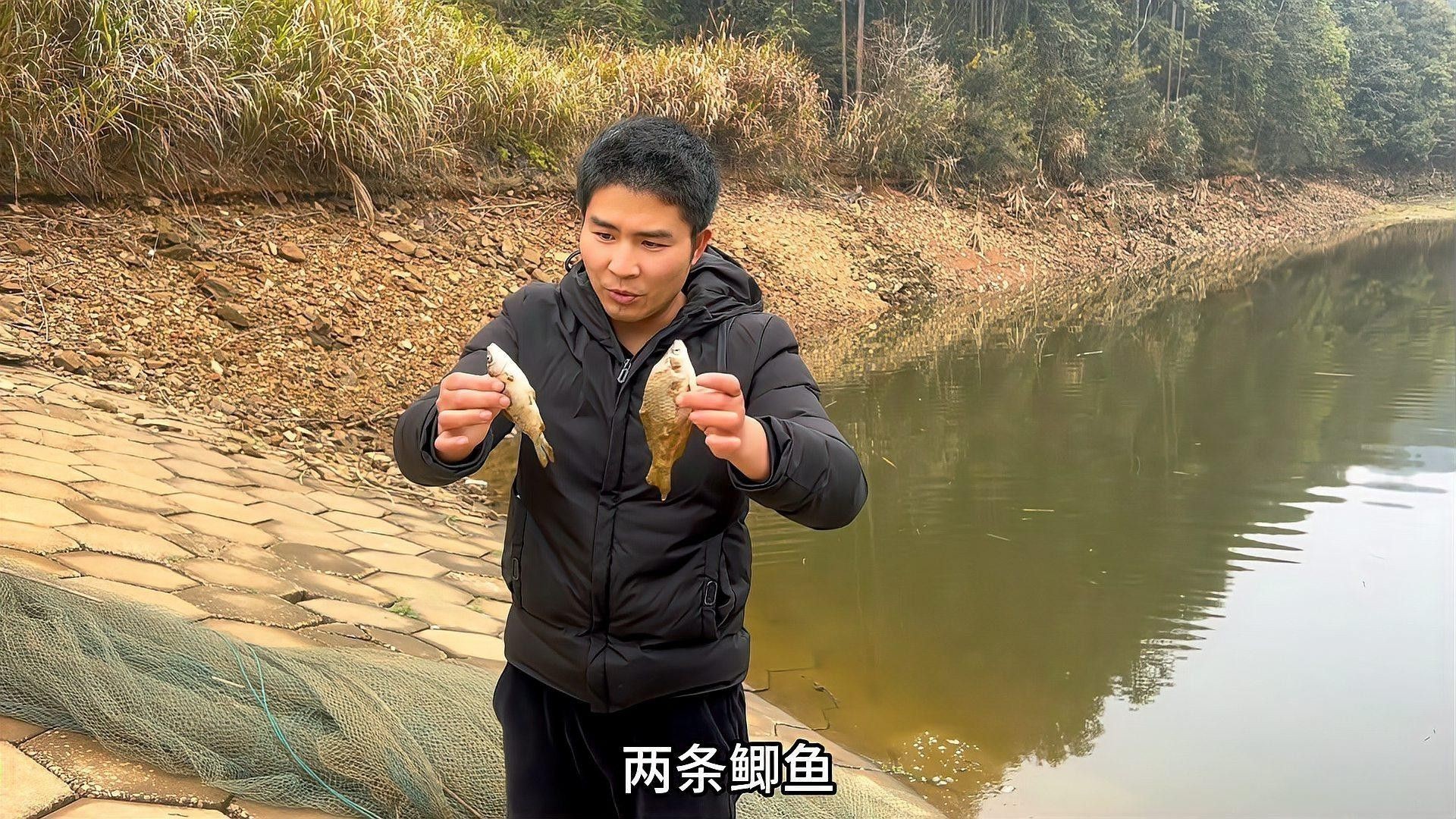 小龍魚苗吃什么長的快