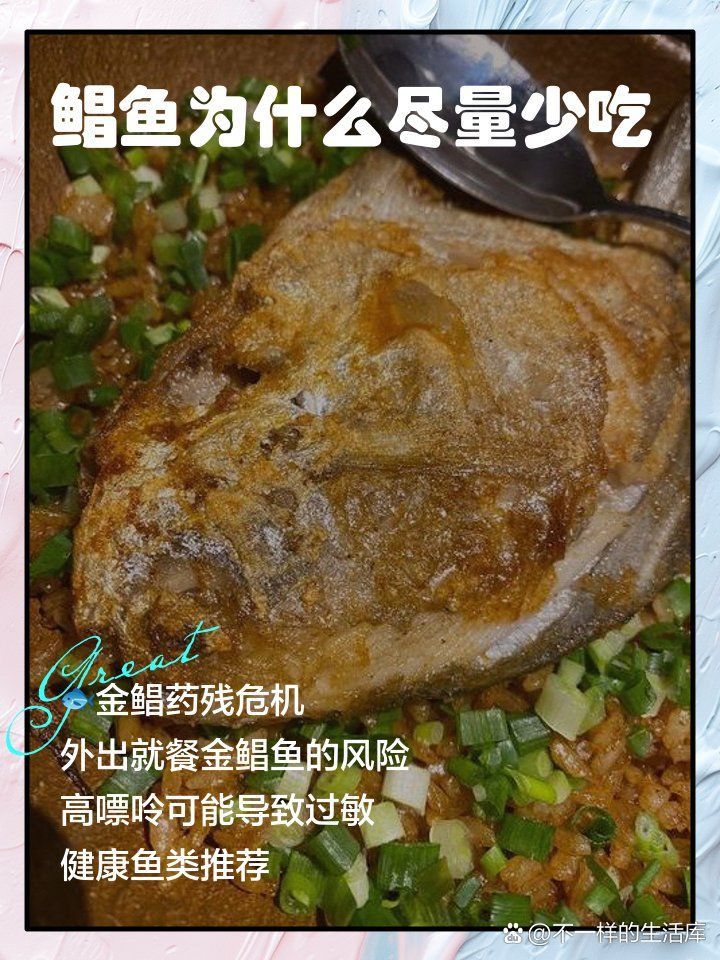 金鰭鯧魚被國家禁養(yǎng)了 金鰭鯧魚被國家禁養(yǎng)了 龍魚百科 第6張