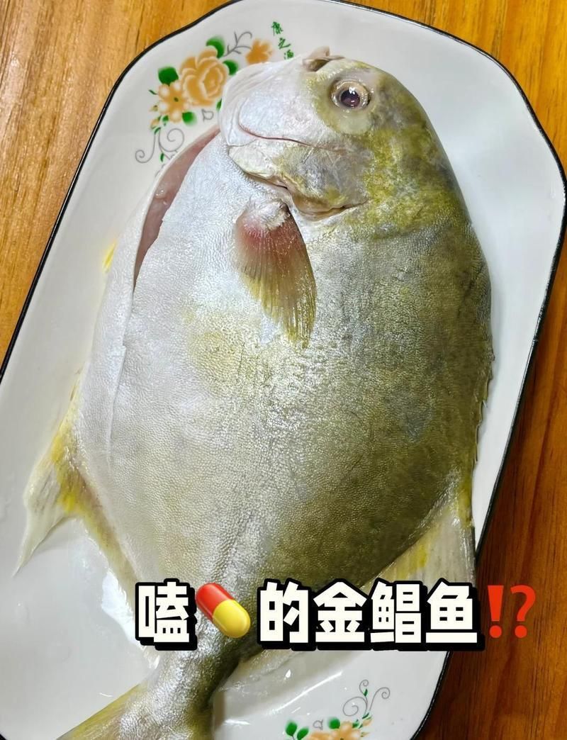 金鰭鯧魚被國家禁養(yǎng)了 金鰭鯧魚被國家禁養(yǎng)了 龍魚百科 第4張