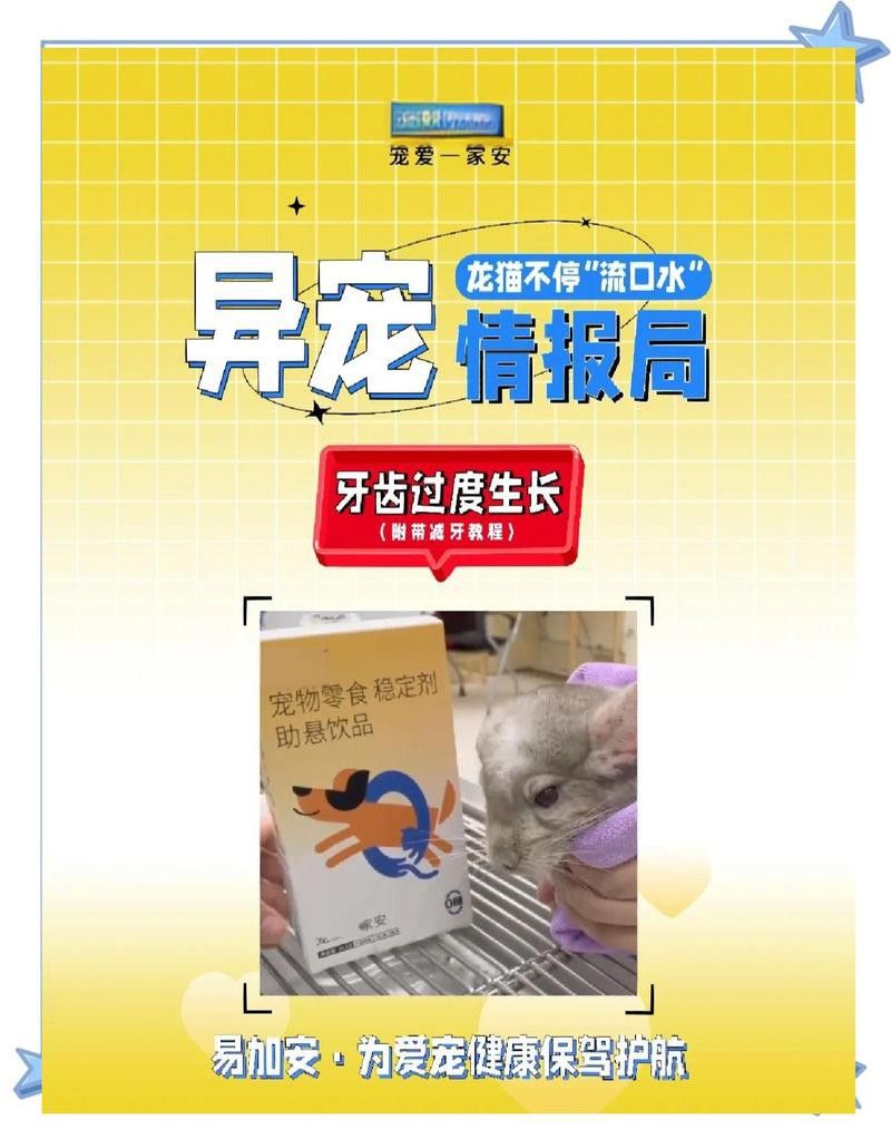 龍貓流口水可能是什么原因