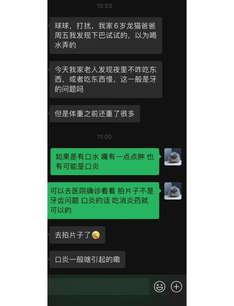 龍貓流口水可能是什么原因
