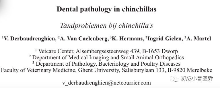 龍貓流口水可能是什么原因