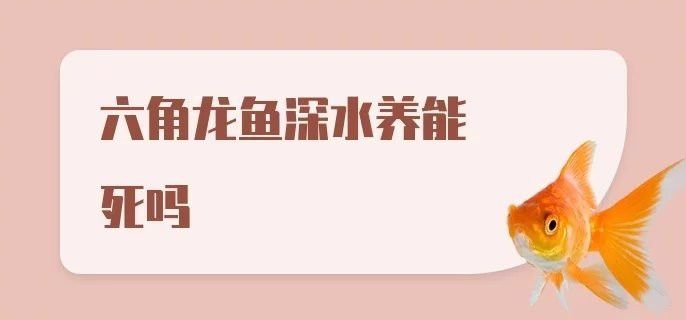 六角龍魚水深50公分可以嗎