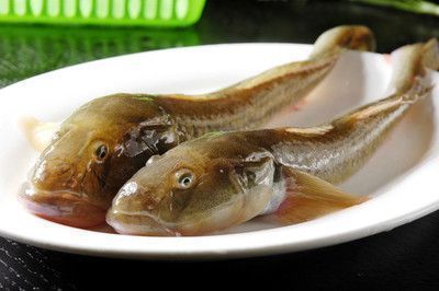 龍魚和刀魚混養(yǎng)好不好：龍魚和關(guān)刀魚混養(yǎng)的成功案例