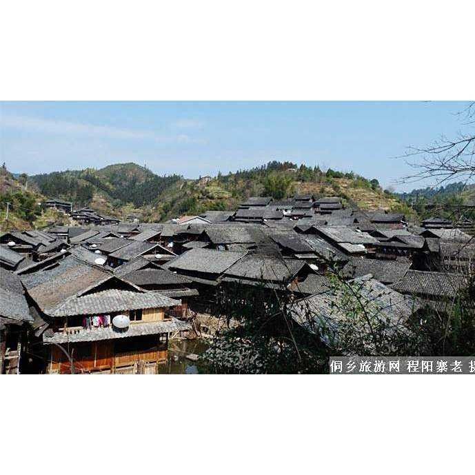 雷龍村的人口數量是多少？