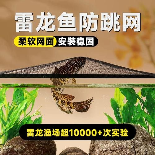 雷龍魚(yú)60的缸