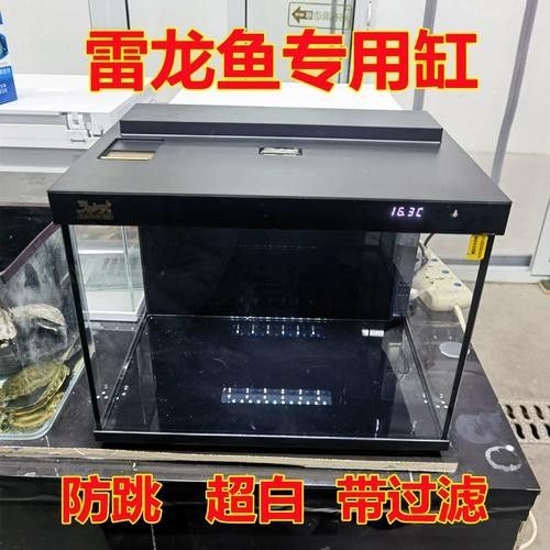 雷龍魚(yú)60的缸