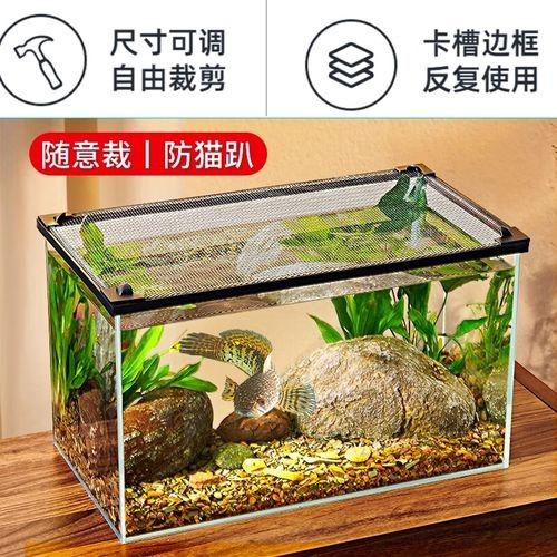 雷龍魚(yú)60的缸