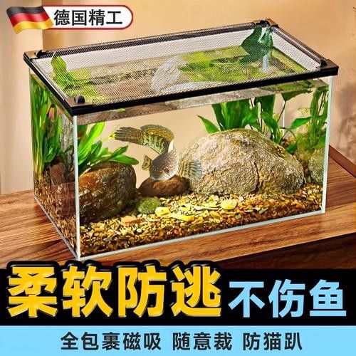 雷龍魚(yú)60的缸
