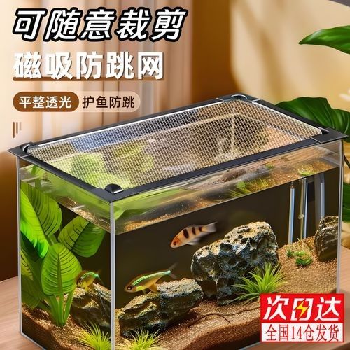 雷龍魚(yú)60的缸