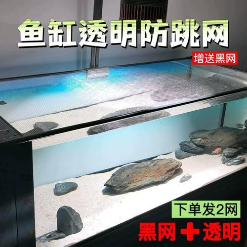雷龍魚(yú)60的缸