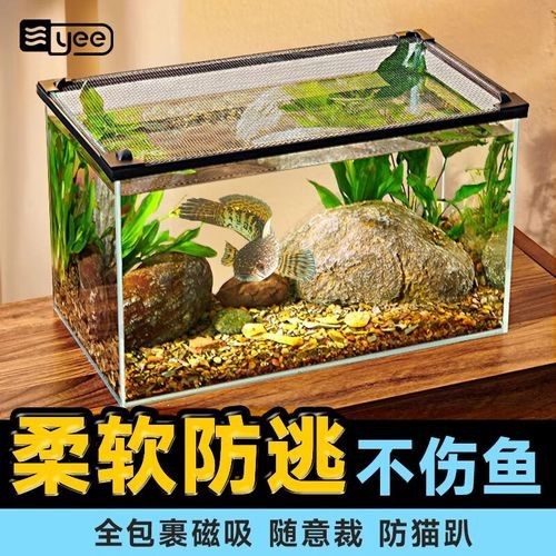 雷龍魚(yú)60的缸
