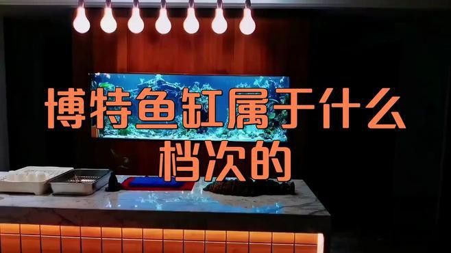 哪個牌子的龍魚缸好