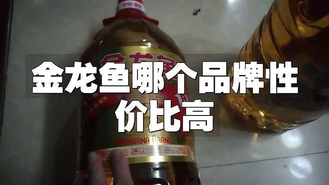 金龍魚調和油哪個系列最好？