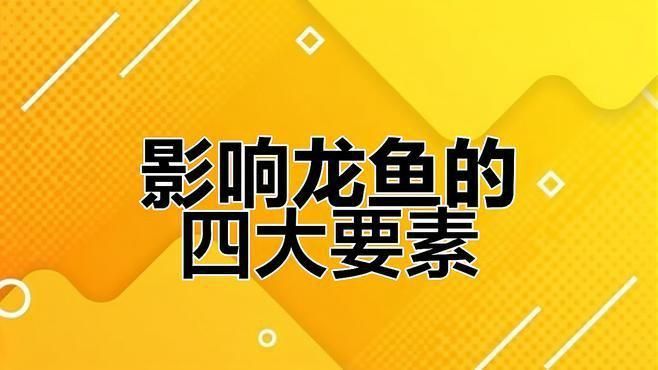 龍魚水質差會得病嗎