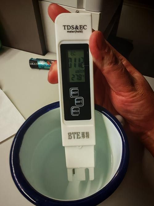 新手養銀龍魚教學方法圖片