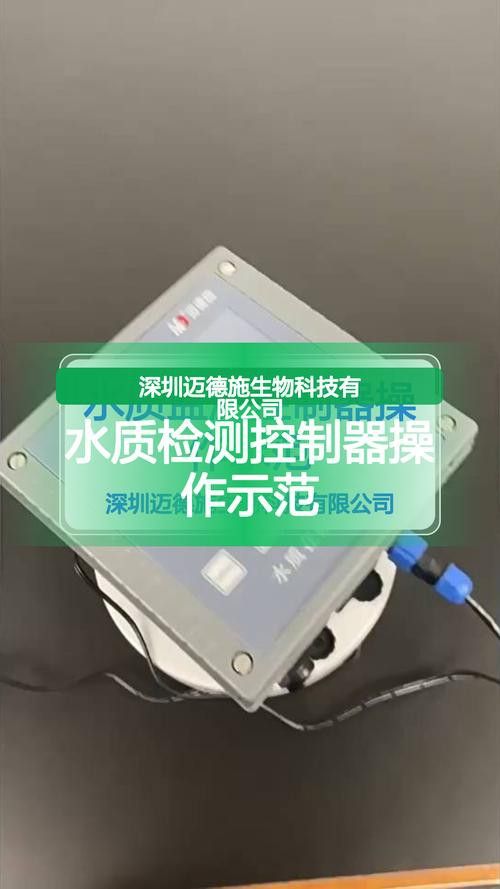 新手養銀龍魚教學方法圖片