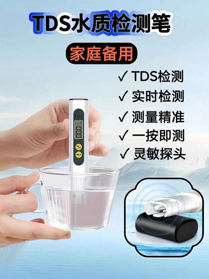 新手養銀龍魚教學方法圖片