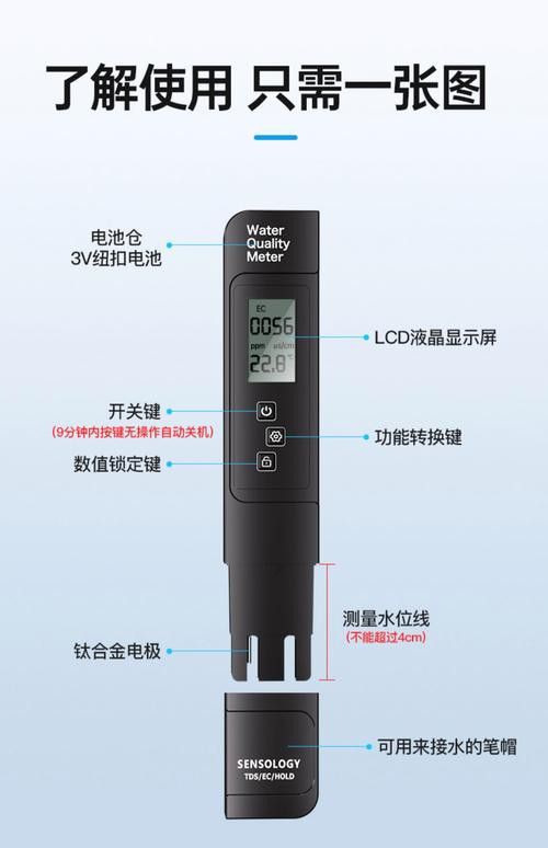 新手養銀龍魚教學方法圖片