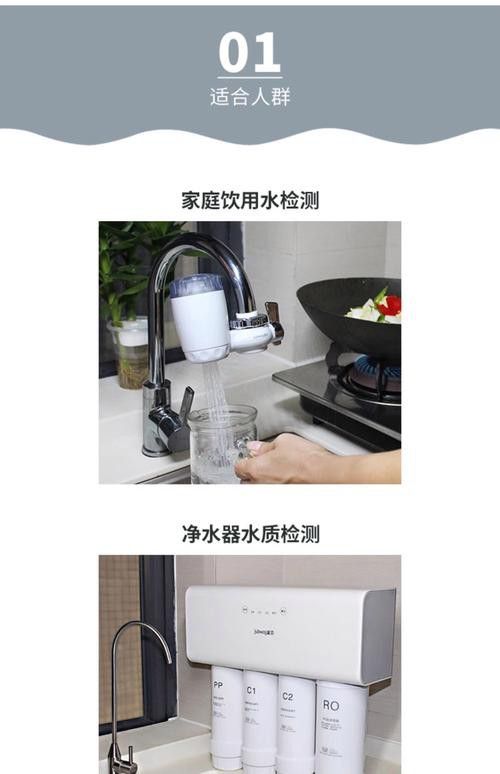 新手養銀龍魚教學方法圖片
