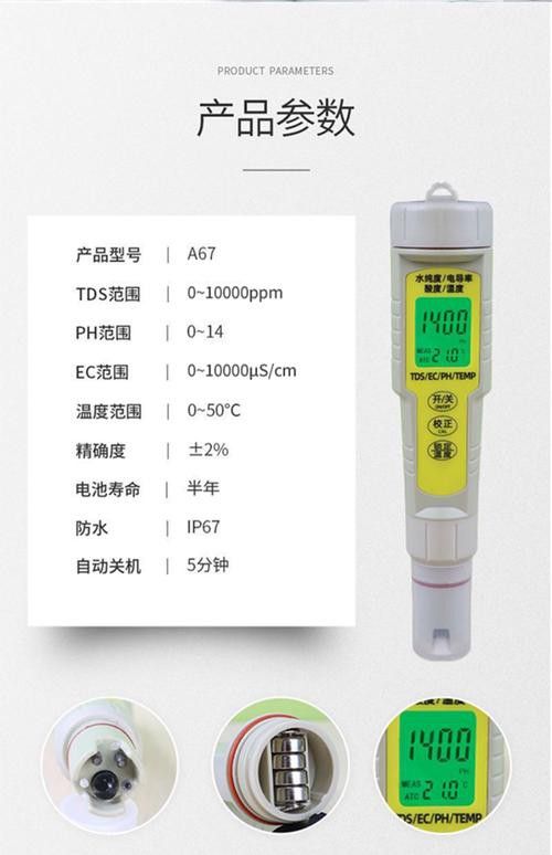 新手養銀龍魚教學方法圖片
