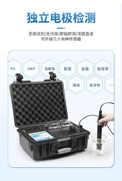 新手養銀龍魚教學方法圖片