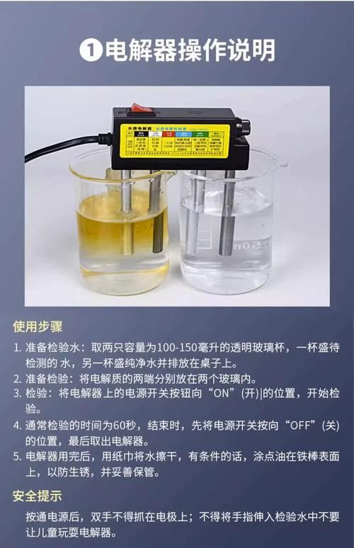新手養銀龍魚教學方法圖片