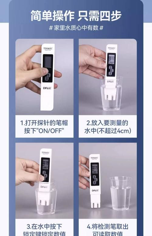 新手養銀龍魚教學方法圖片