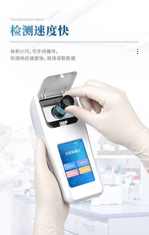 新手養銀龍魚教學方法圖片