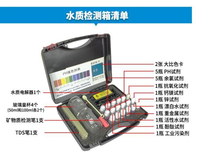 新手養銀龍魚教學方法圖片
